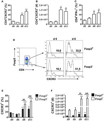 Plasmodium chabaudi AS Infection Induces CD4+ Th1 Cells and Foxp3+T-bet+ Regulatory T Cells That Express CXCR3 and Migrate to CXCR3 Ligands